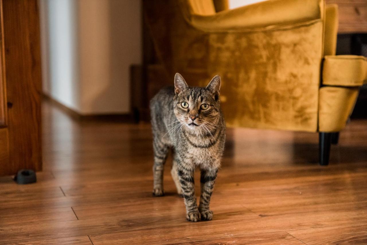 4Sky Apartament Oświęcim Eksteriør bilde
